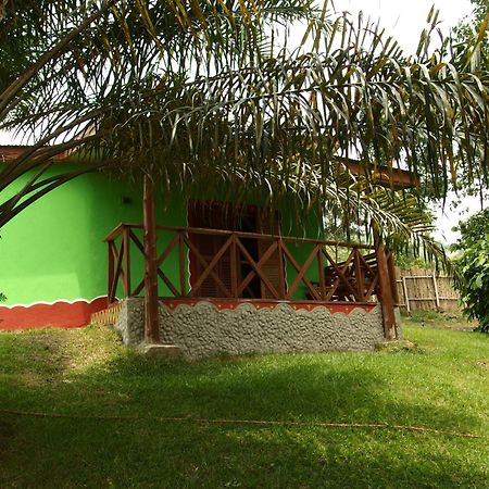 Cocoa Village Guesthouse Obo  Bagian luar foto